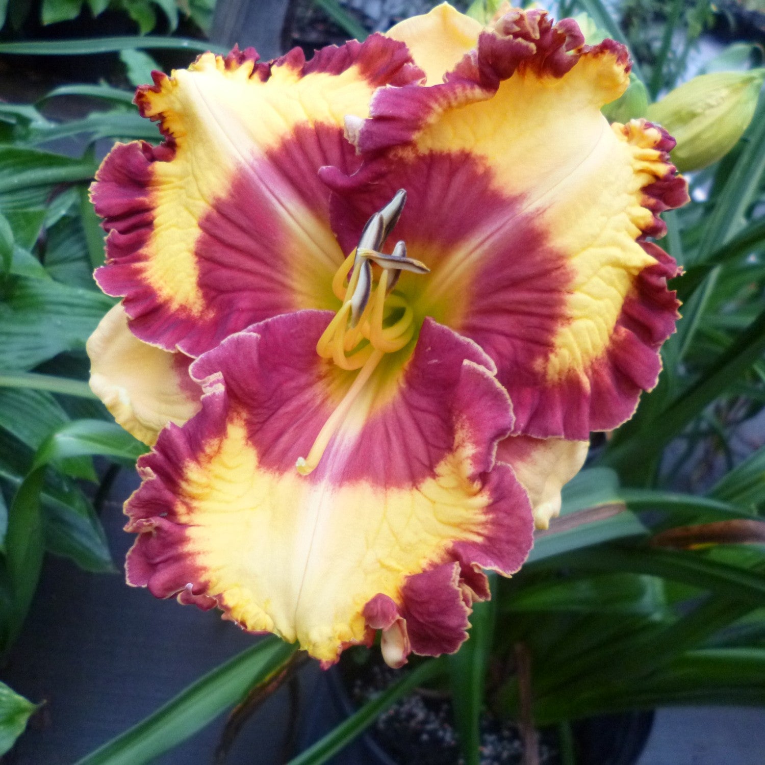 Can't Touch This image 0