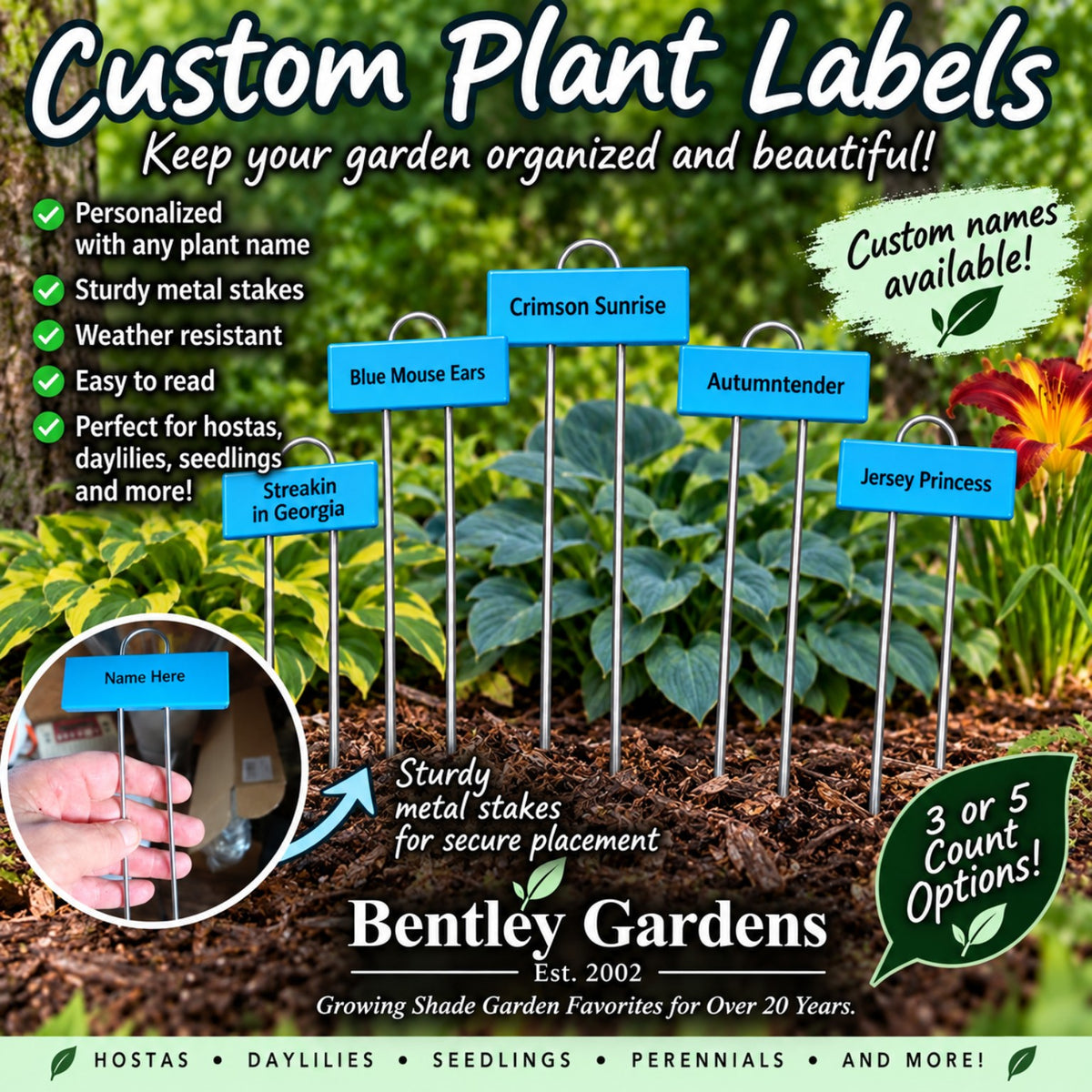 Custom waterproof plant labels in a garden, available in sets of three or five