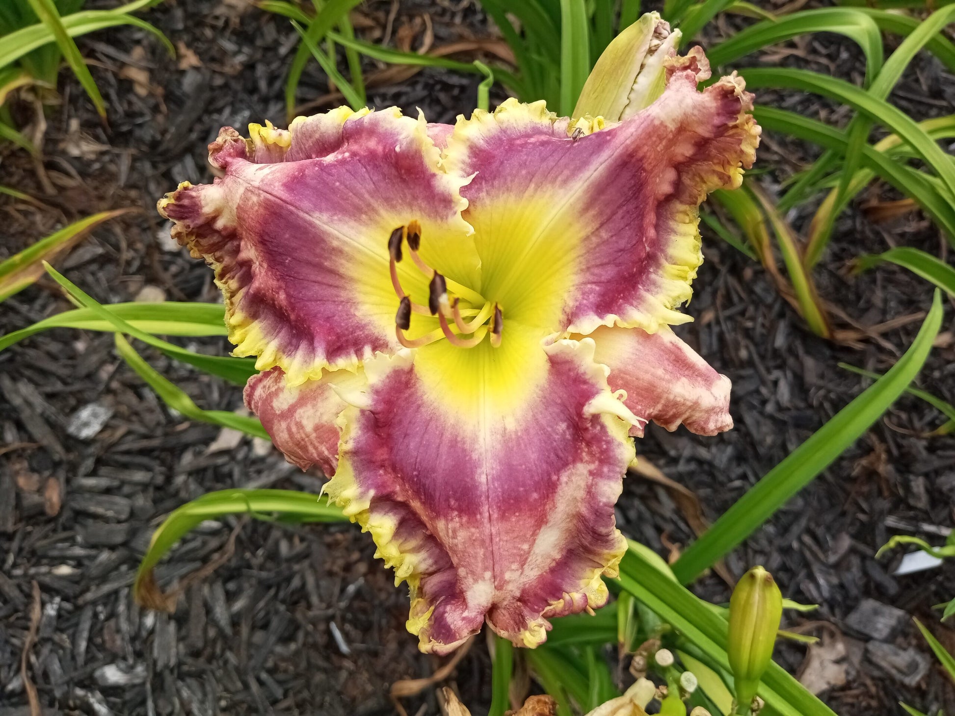 Quite The Bite image 0